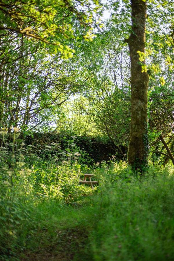 Ardnavaha House - Poolside Cottages Clonakilty Esterno foto